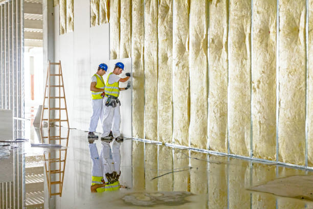 Best Residential Insulation in Syracuse, NE